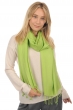 Cashmere & Silk ladies platine springtime green 204 cm x 92 cm